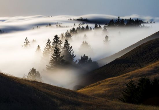 Природа туман (57 фото)