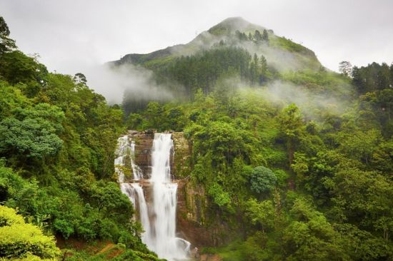 Шри Ланка природа (55 фото)
