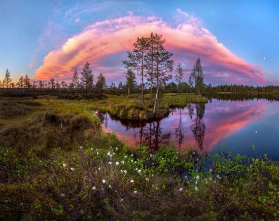 Природа севера России (59 фото)