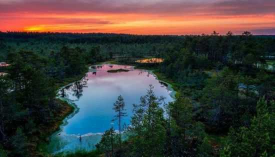 Эстония природа (55 фото)