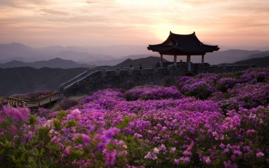 Корея природа (54 фото)