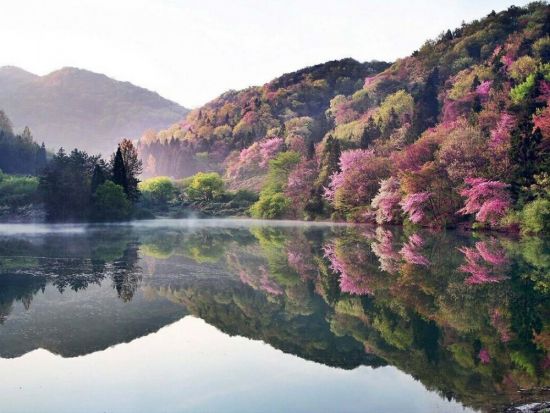 Южная Корея природа (54 фото)