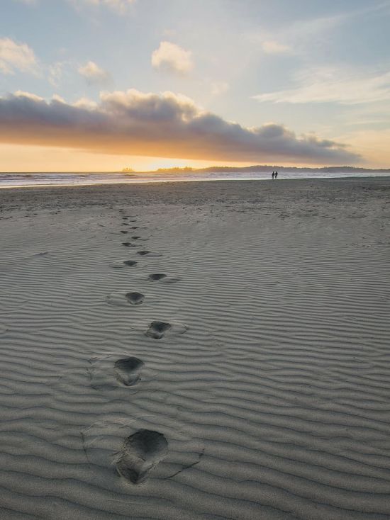 Следы на песке (47 фото)