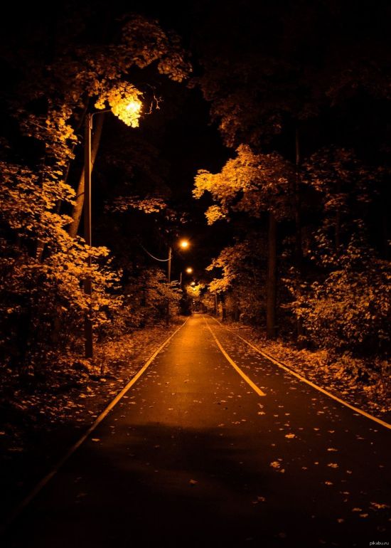 Дорога ночью (54 фото)