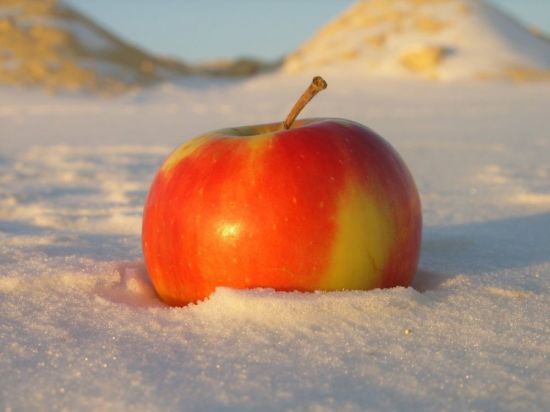Яблоки на снегу (58 фото)