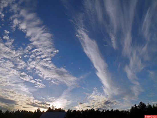 Перьевые облака (60 фото)
