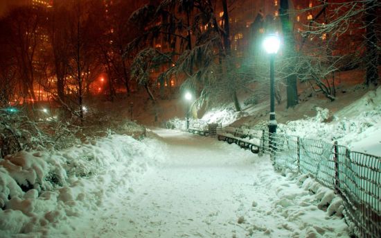 Снегопад ночью (19 фото)