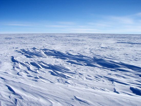 Арктические пустыни (57 фото)