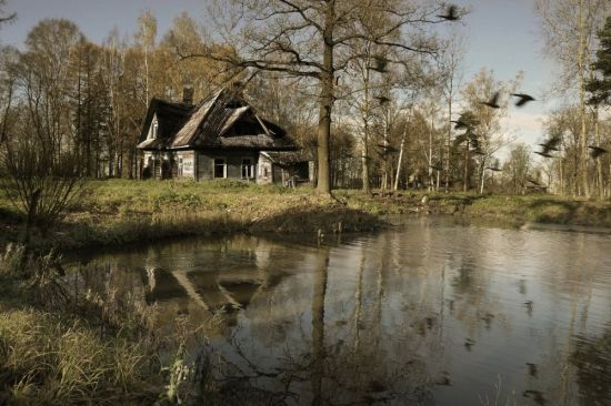 Дом на болоте (59 фото)