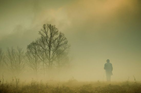 Человек в тумане (54 фото)