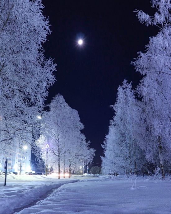 Морозная ночь (57 фото)
