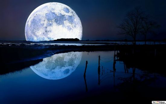 Голубая Луна (55 фото)