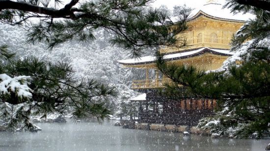 Снег в Японии (52 фото)