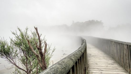 Мост в тумане (56 фото)