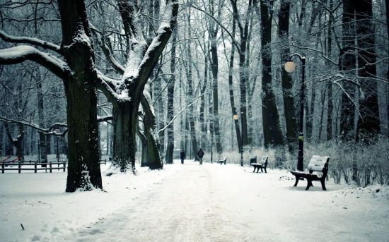 Снег в парке (47 фото)