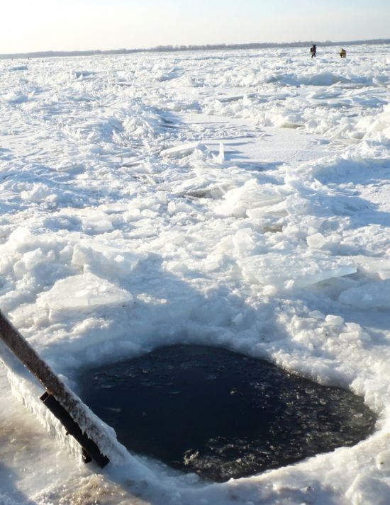 Полынья на льду (58 фото)