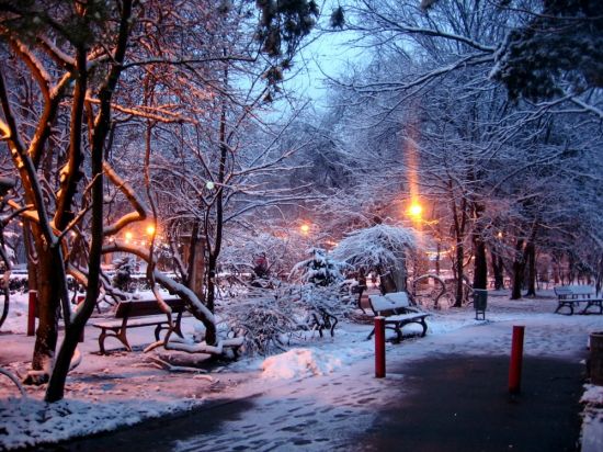 Снежный вечер (55 фото)