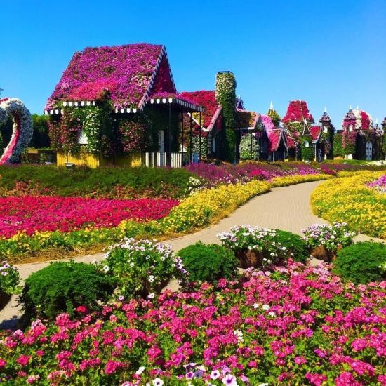 Цветочный сад в Дубае (55 фото)