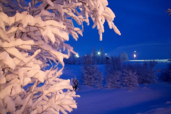 Снег вечером (56 фото)