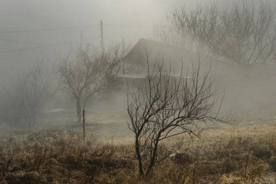 Ноябрь туман (58 фото)