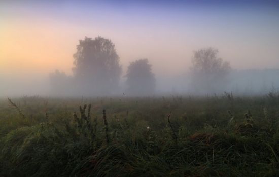 Туман в поле (53 фото)