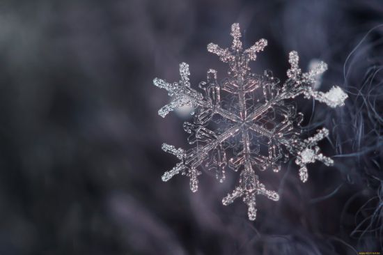 Снежные Кристаллы (49 фото)