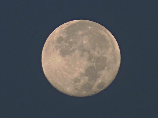 Луна Белла (49 фото)