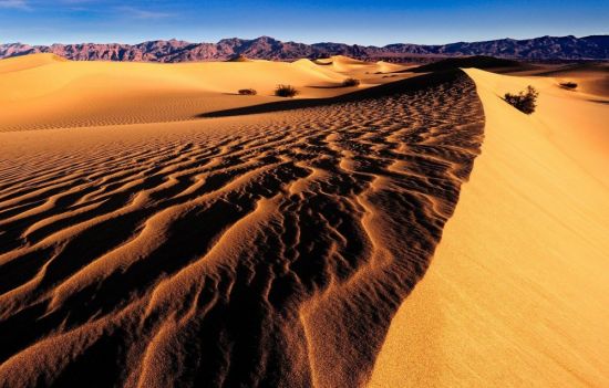 Песчаные пустыни (53 фото)
