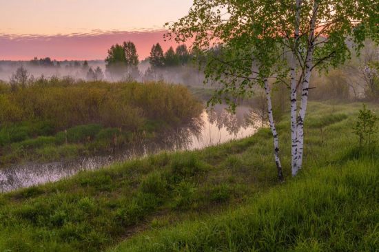 Белая Березка (57 фото)