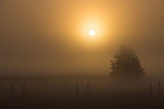 Солнце в тумане (54 фото)