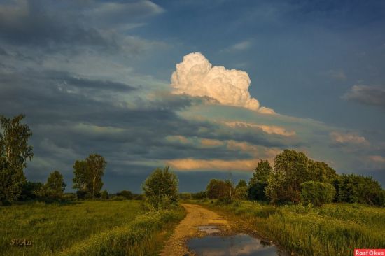 Перед грозой в деревне (60 фото)