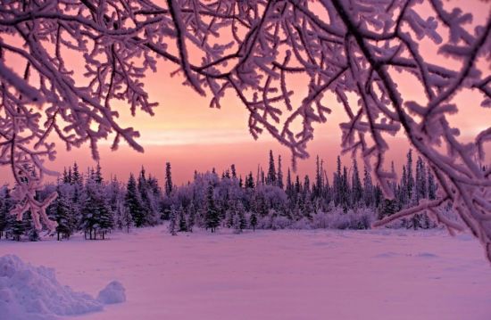 Розовый снег (57 фото)