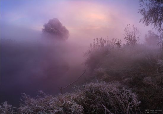 Туман в голове (53 фото)