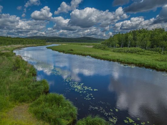 Облака в реке (48 фото)