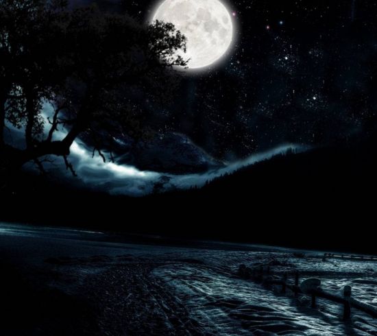 Ночной лес с луной (56 фото)