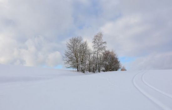 Белая заснеженная равнина (48 фото)