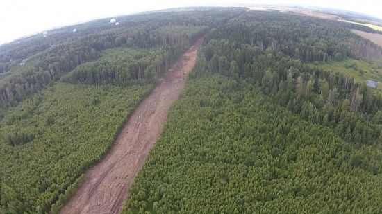 Вырубка леса вид сверху (49 фото)