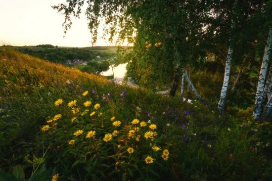 Река Луга Толмачево (56 фото)