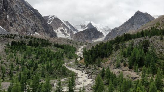 Долина Актру Алтай (58 фото)