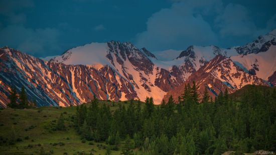 Горный Алтай Северо Чуйский хребет (58 фото)