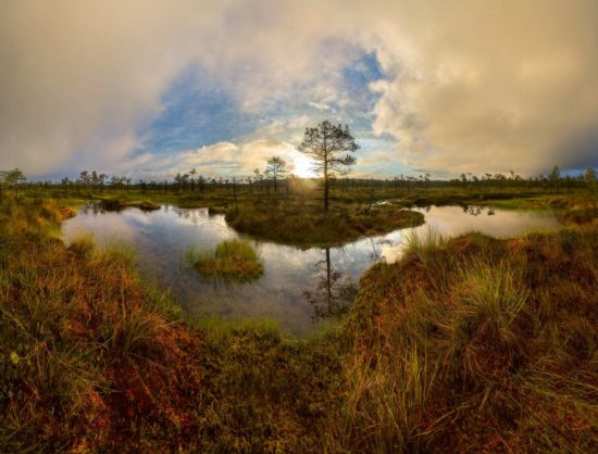 Шатурские болота (54 фото)
