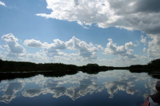 Река Припять в Беларуси (57 фото)