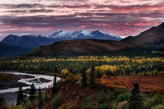Аляска штат сша (65 фото)