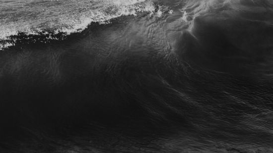 Черно белый океан (59 фото)