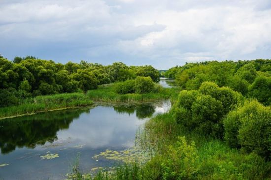 Река шумка рязанская (74 фото)