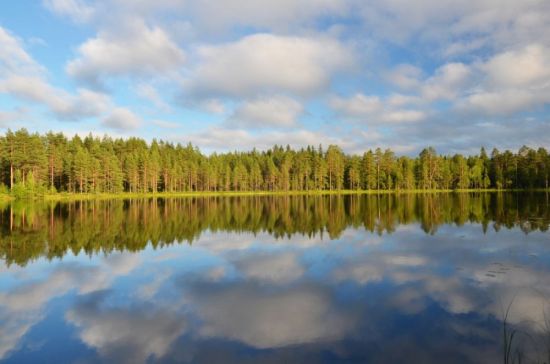 Озеро искробольское (74 фото)