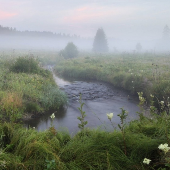 Кумара река (46 фото)