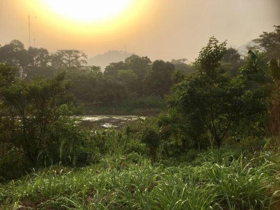 Камерун природа (49 фото)