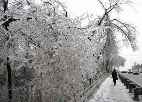 Ледяной дождь гололед (66 фото)