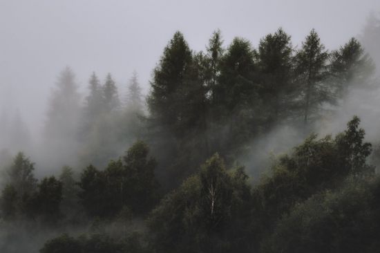 Балабановский туман (55 фото)